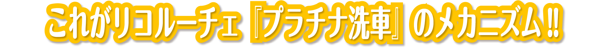 これが手洗い洗車KIWAMIのメカニズム!